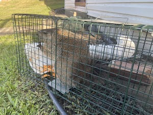 Go Go Pest Control place picture